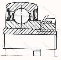 Модификация подшипника 6-1680205АК7 размер 25x62x18/31